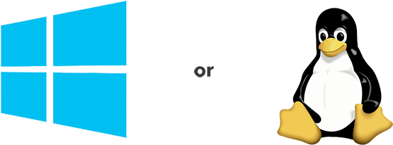 Windows ou Linux. Você escolhe.